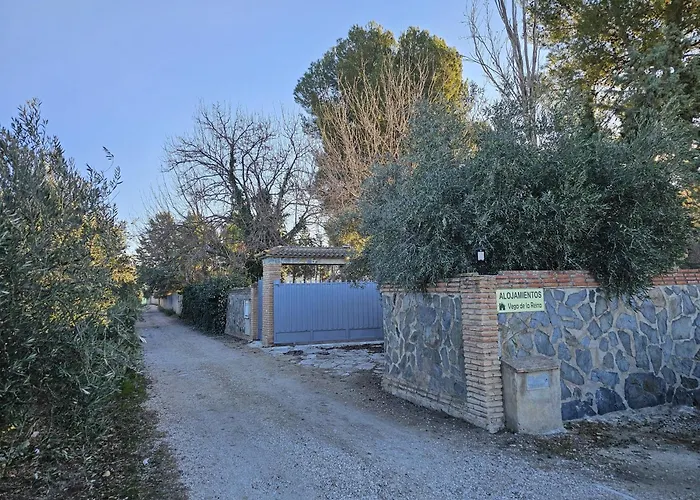 Vega De La Reina